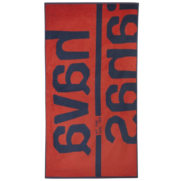 
            
                Load image into Gallery viewer, HAVAIANAS Logo towel
            
        