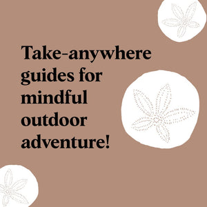 Beach Combing: Cultivate Mindful Moments by the Shore book