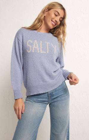 ZSUPPLY Waves and Salty sweater