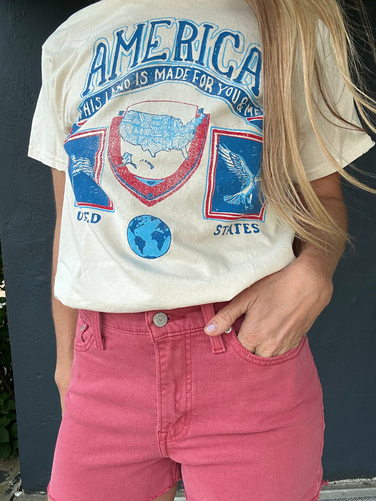 America Patch Thrifted tee