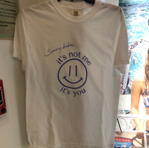 It's Not Me garment washed graphic tee